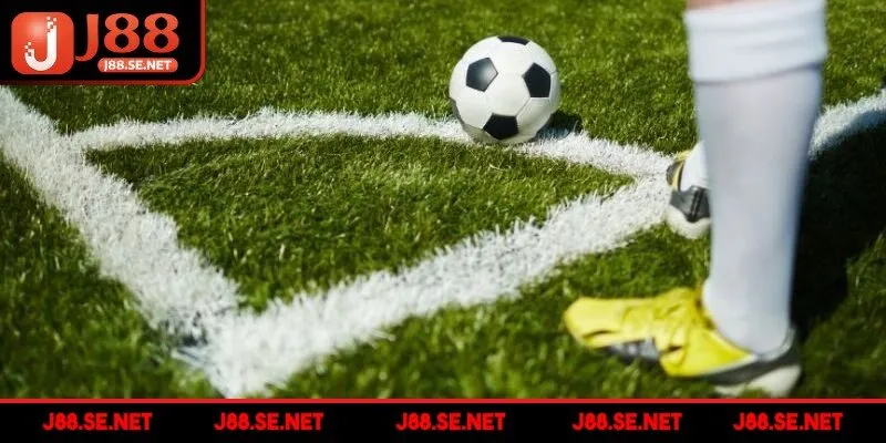 Thành viên nên theo dõi tình hình chấn thương hay đội hình để đặt cược