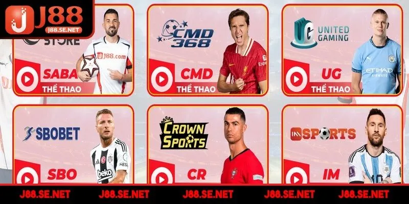 Những hình thức phổ biến nhất tại thể thao J88